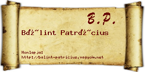 Bálint Patrícius névjegykártya